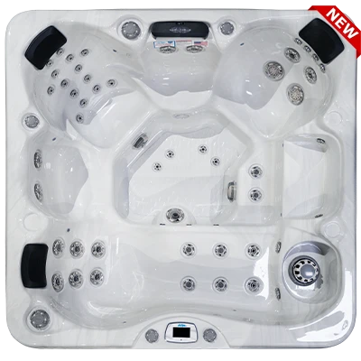 Costa-X EC-749LX hot tubs for sale in Cary
