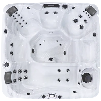 Avalon-X EC-840LX hot tubs for sale in Cary