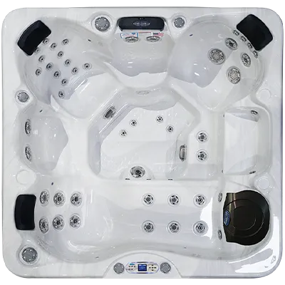 Avalon EC-849L hot tubs for sale in Cary