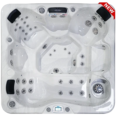 Avalon-X EC-849LX hot tubs for sale in Cary