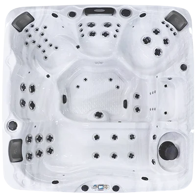 Avalon EC-867L hot tubs for sale in Cary