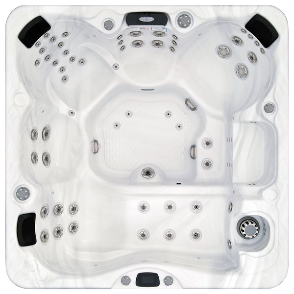 Avalon-X EC-867LX hot tubs for sale in Cary
